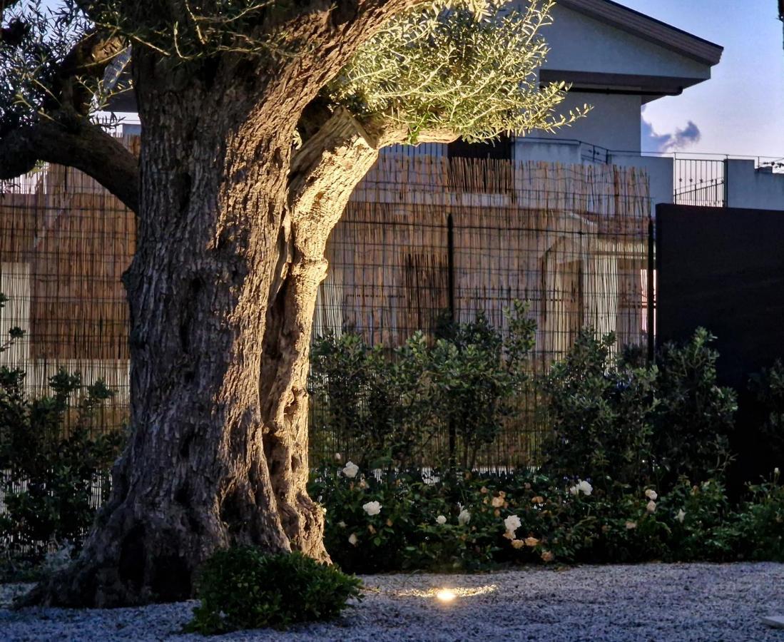 Ortosalato Agricamping Torregrotta Kültér fotó
